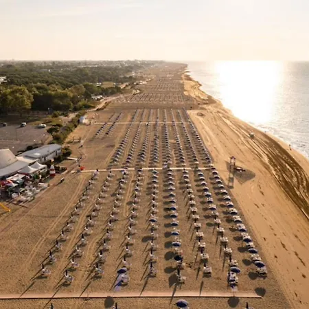 Lägenhet Cozy Near The *